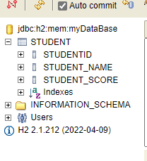 Viewing H2 Database Fields