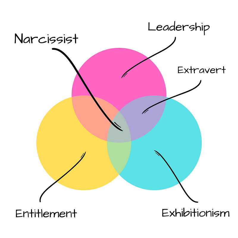 Diagram illustrating the components of the Narcissism Personality Index