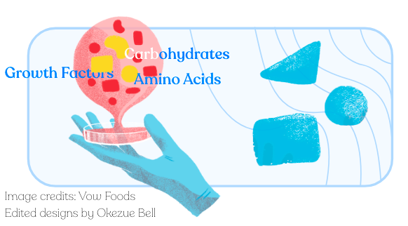 Visualization of bioreactor technology in cellular agriculture