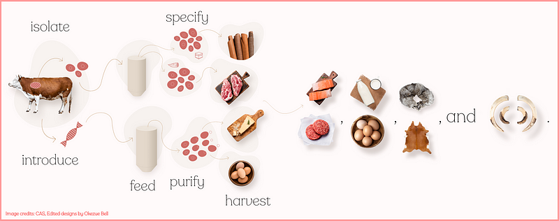 Representation of future food innovations and sustainable practices