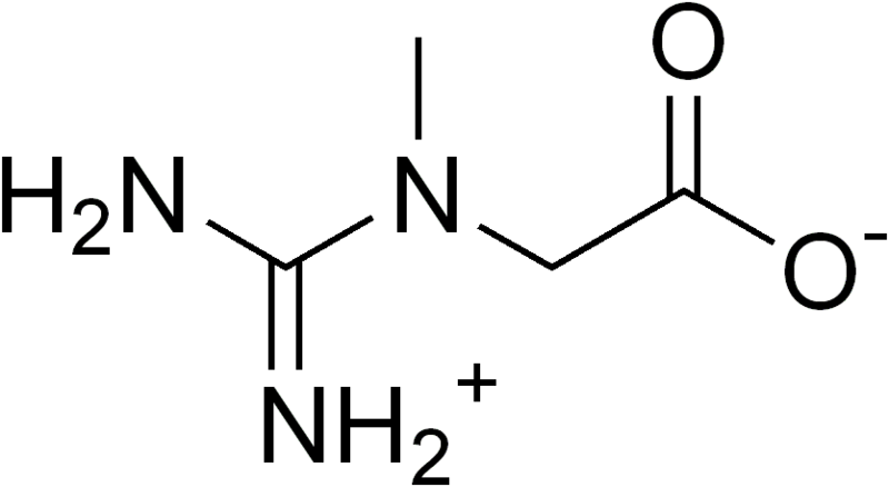 Chemical structure of creatine