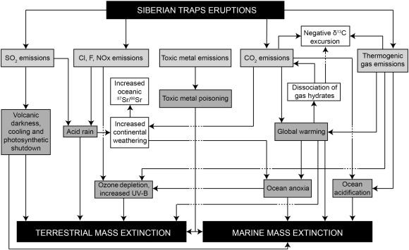 Proposed cause-and-effect relationships during mass extinctions