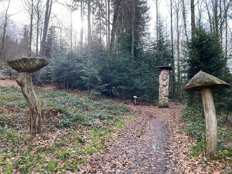 Enjoying trails in Schrebergarden, Germany