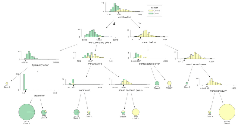 Visualization of cancer classification decision tree.