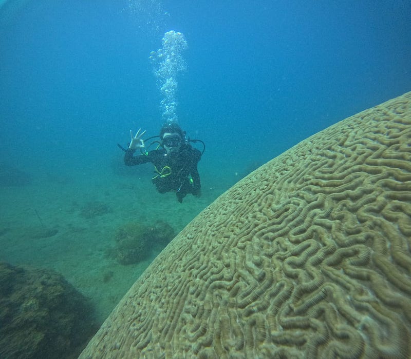 Author enjoying an adventure in the Caribbean Sea