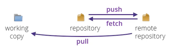 GitHub repository workflow overview