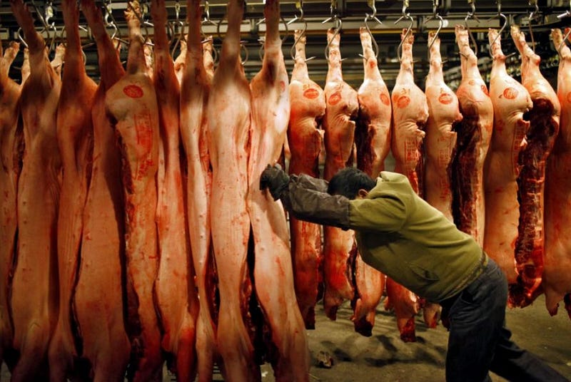 Deforestation for livestock farming in Brazil