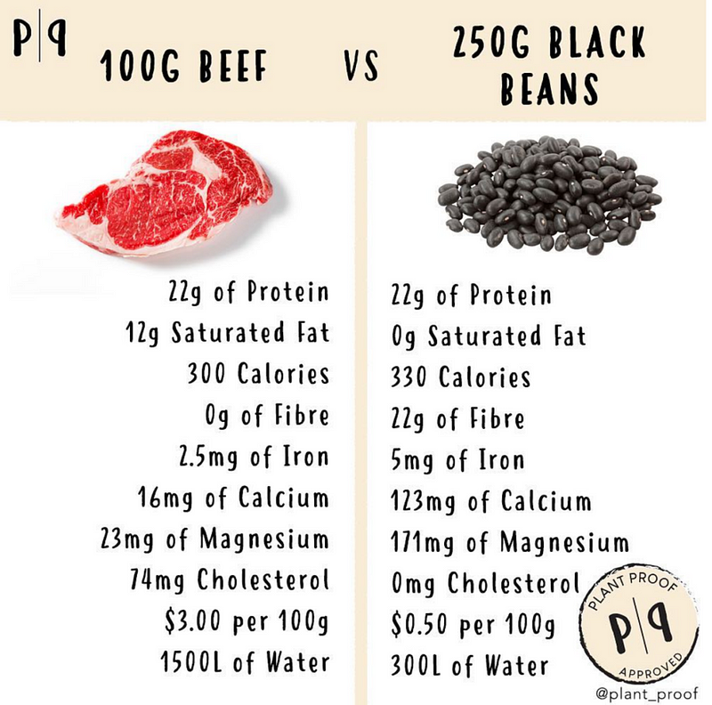 Livestock population statistics