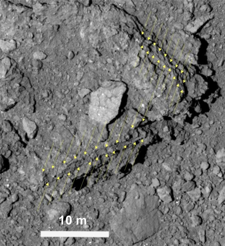 Comparison of asteroid Ryugu and Bennu