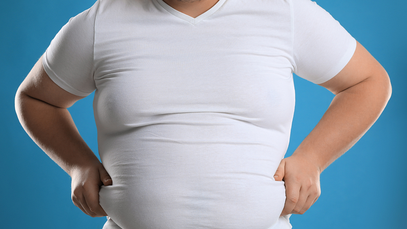 Image depicting belly fat